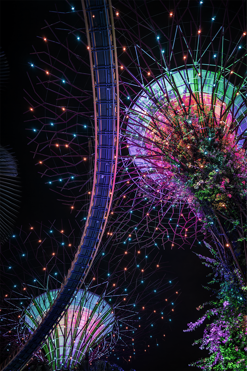 Immerse yourself in a vibrant culture where innovation, forward-thinking governance, and business excellence converge.