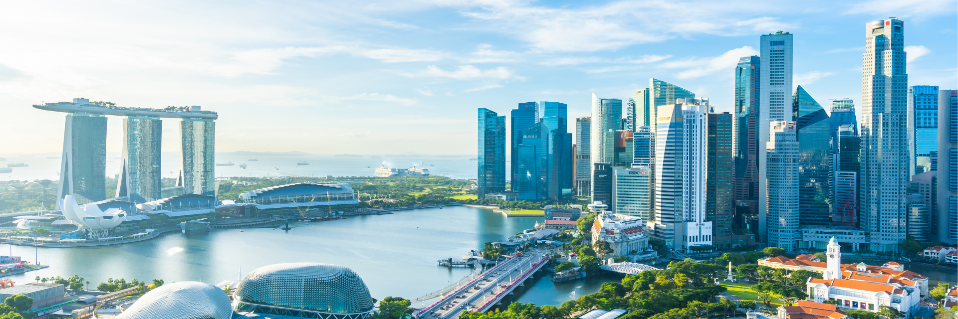 Corporate International Immersion Programme